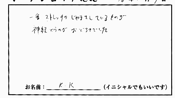 �X�g���b�`�����E���z