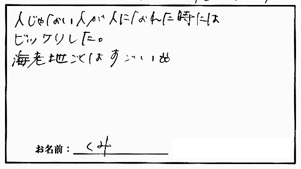 �X�g���b�`�����E���z